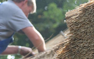 professional Carleen thatchers