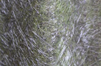 Carleen fibreglass roof work